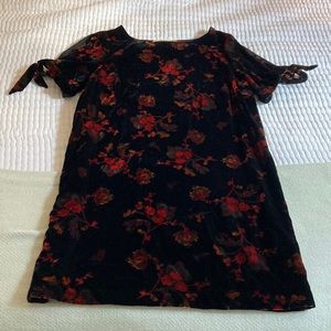 the Loft velvet dress